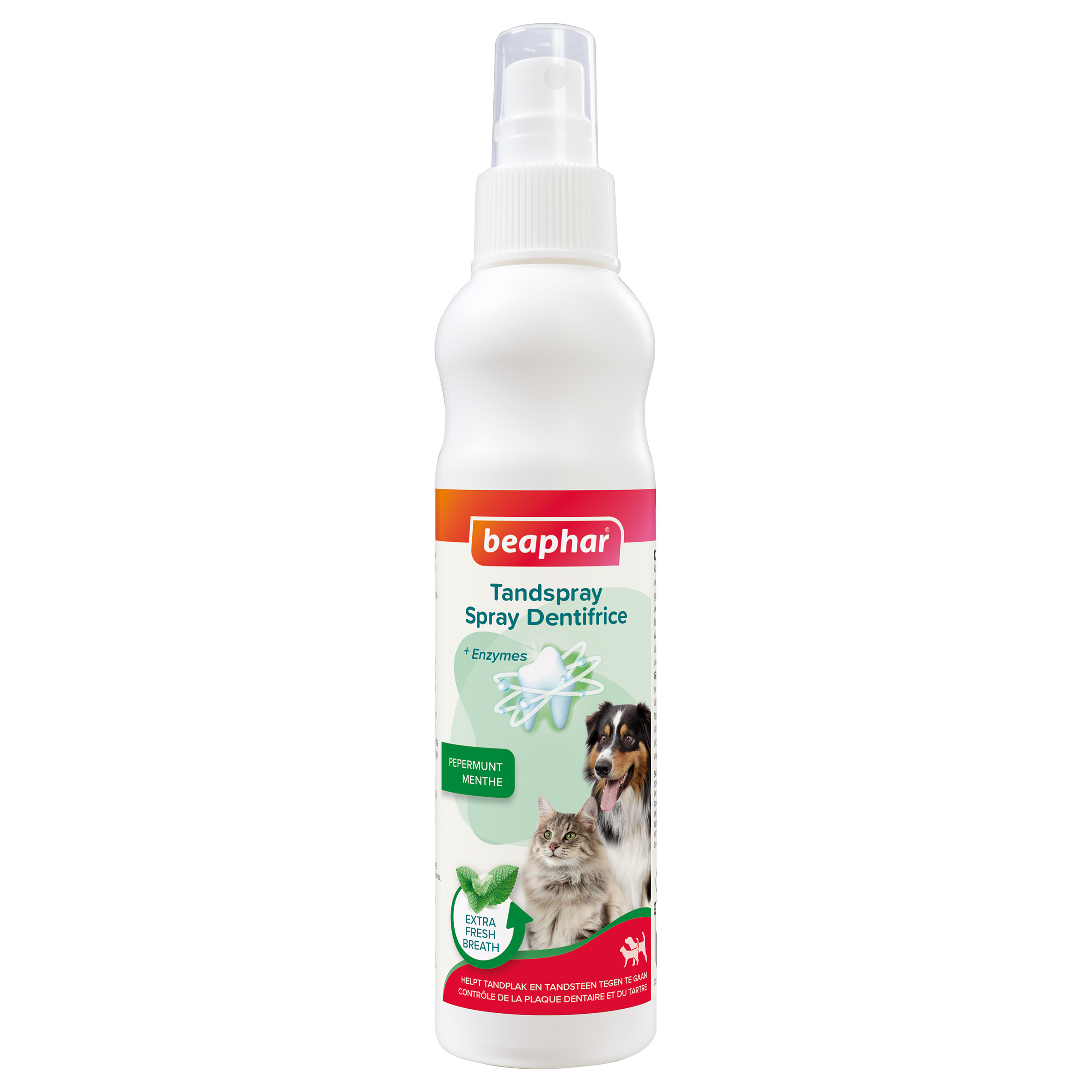 BEAPHAR TANDSPRAY 150 ML