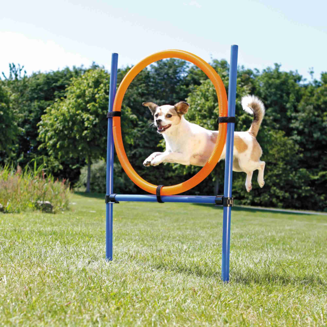 TRIXIE DOG ACTIVITY AGILITY RING BLAU/ORANGE 65X3X115 CM