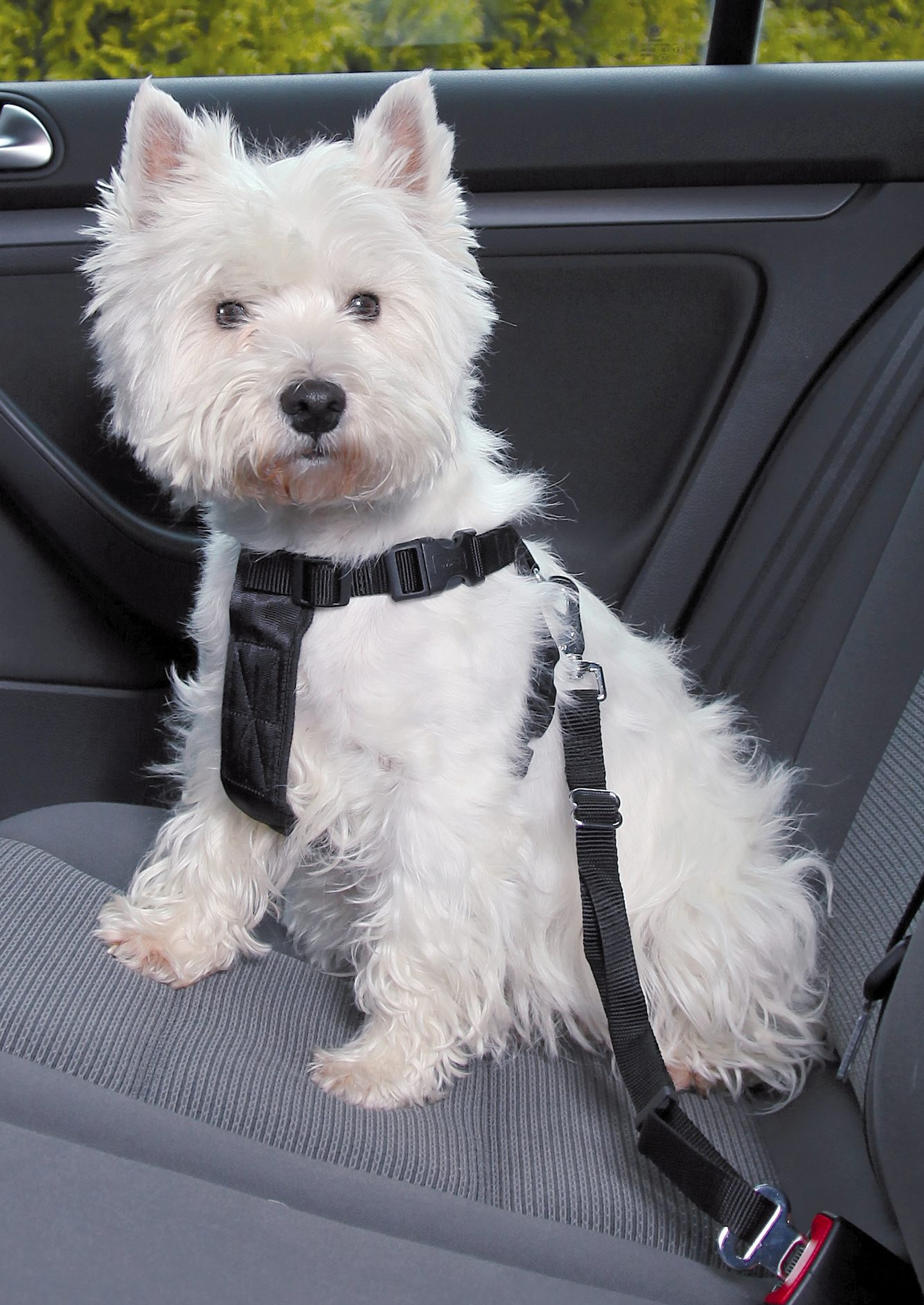 TRIXIE HUNDEGESCHIRR AUTO INKLUSIVE GORDEL SCHWARZ 50-70 CM