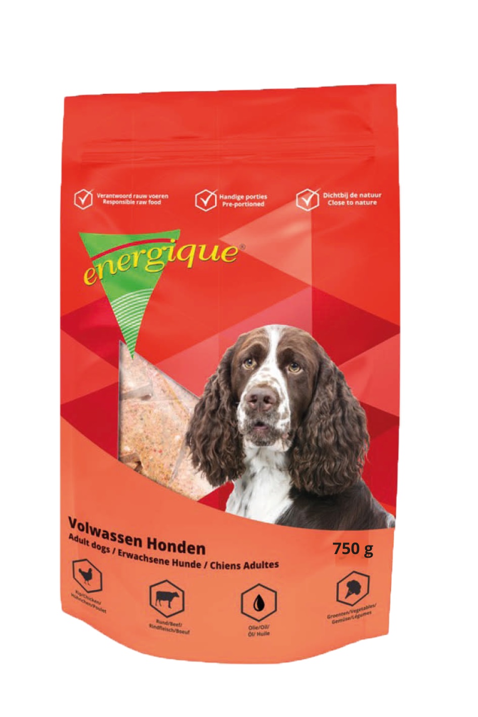 ENERGIQUE NR 1 AUSGEWACHSEN HUND 750 G