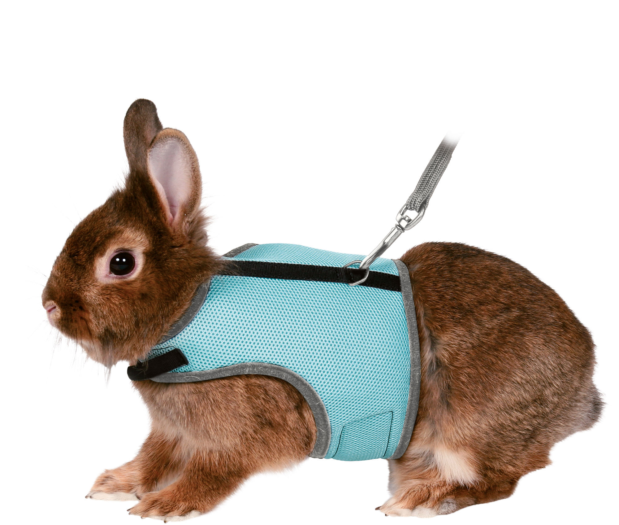 TRIXIE GESCHIRR FUER NAGETIERE SORTIERT 25-32 CMX1,2 M