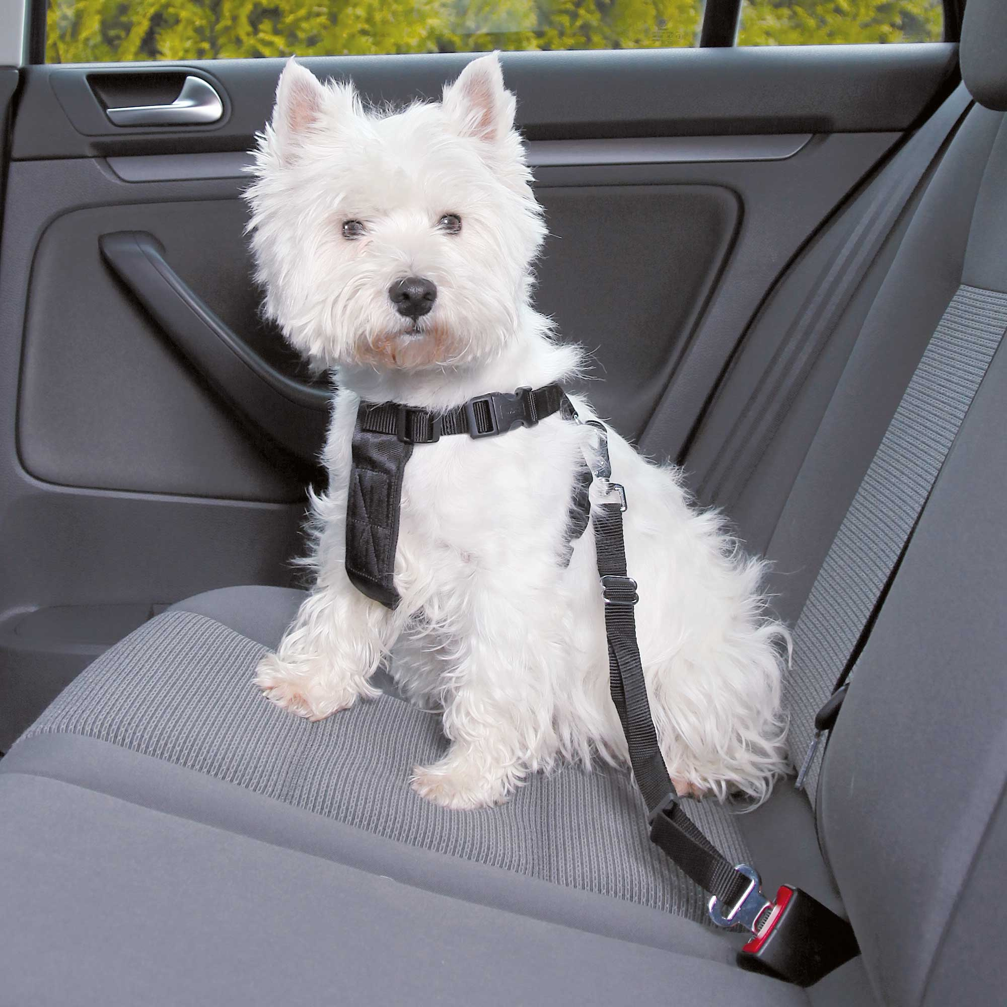 TRIXIE HUNDEGESCHIRR AUTO INKLUSIVE GORDEL SCHWARZ 20-50X1,5 CM