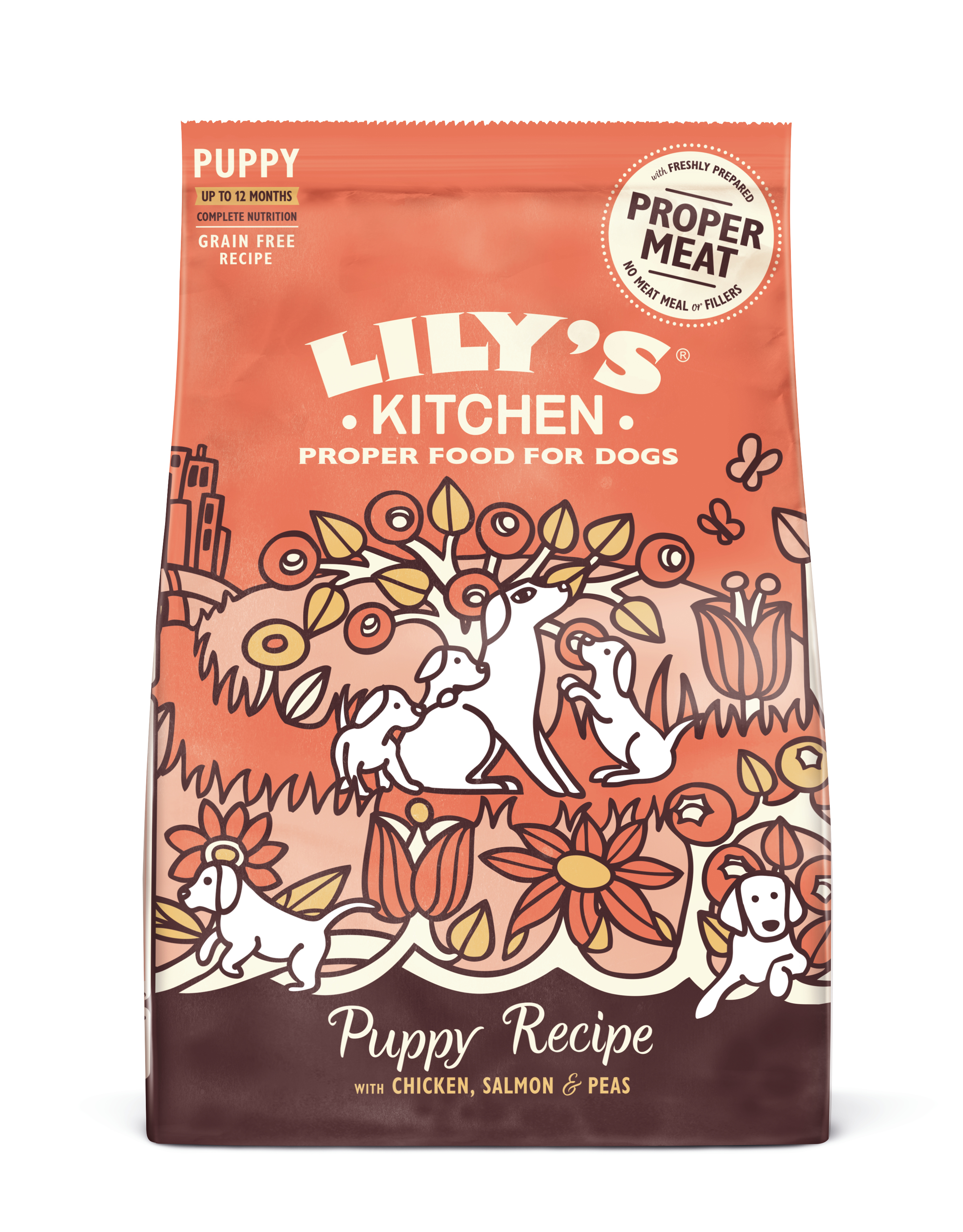 LILY'S KITCHEN DOG WELPE CHICKEN/SALMON 7 KG