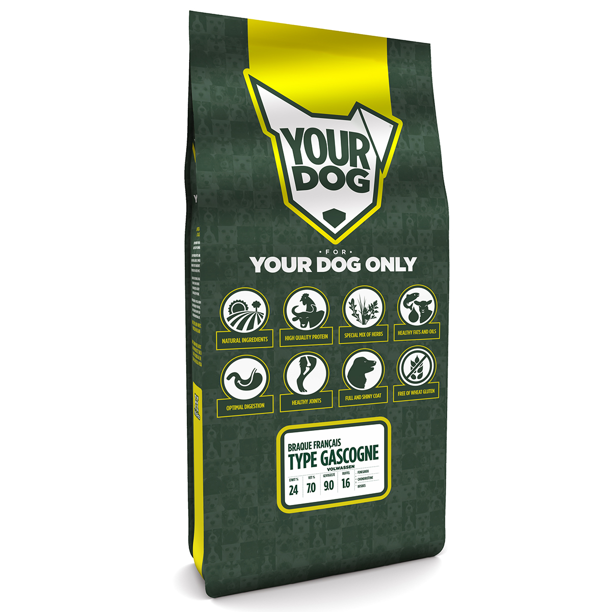 YOURDOG BRAQUE FRANÇAIS TYPE GASCOGNE AUSGEWACHSEN 12 KG