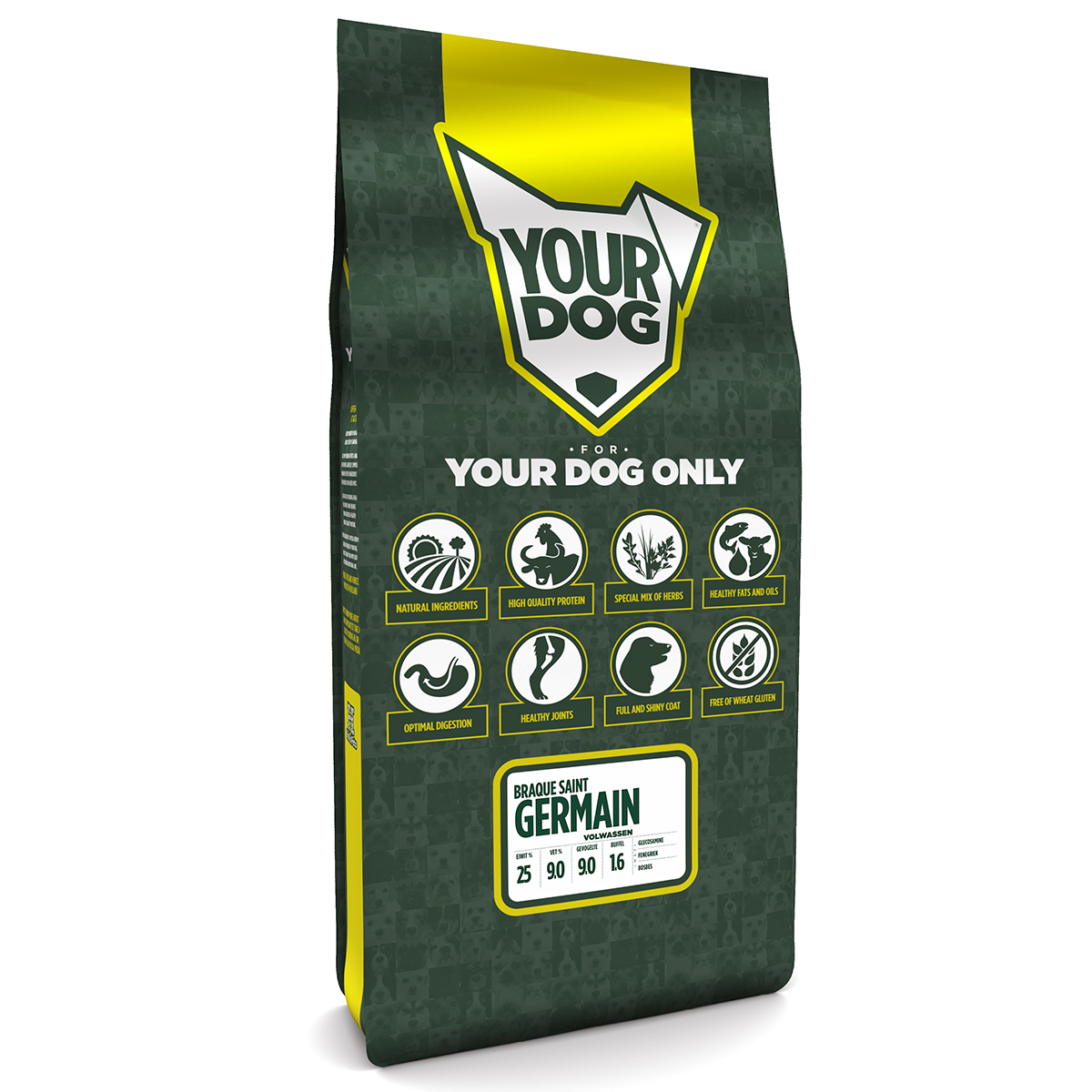YOURDOG BRAQUE SAINT GERMAIN AUSGEWACHSEN 12 KG