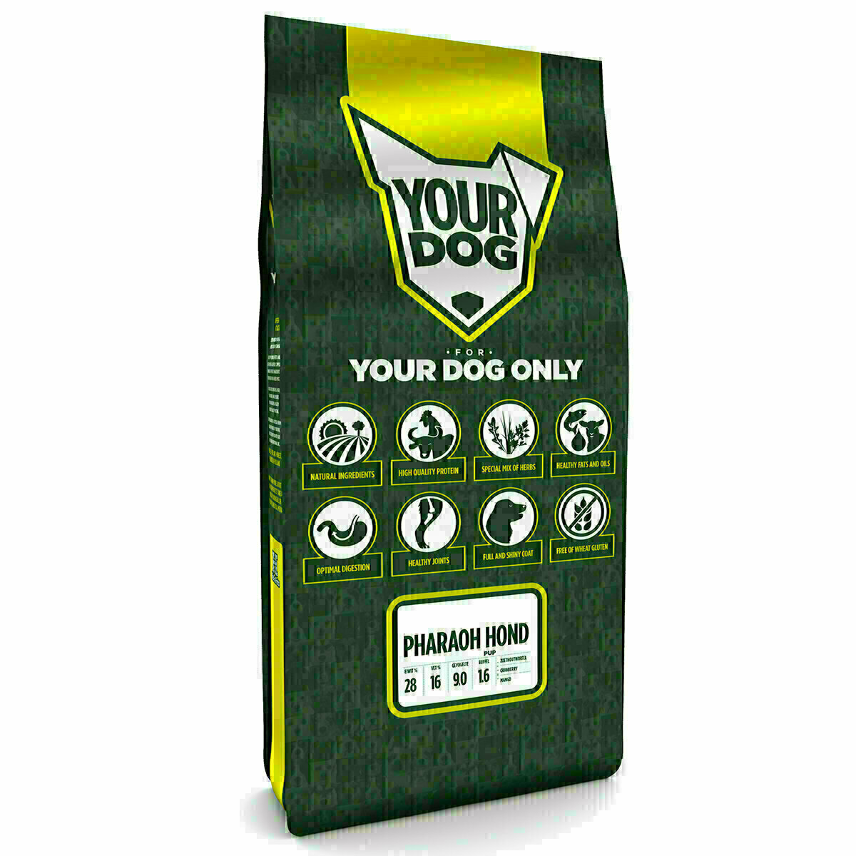 YOURDOG PHARAOH HUND WELPE 12 KG
