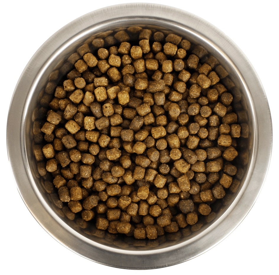 YOURDOG KONINGSPOEDEL WELPE 12 KG