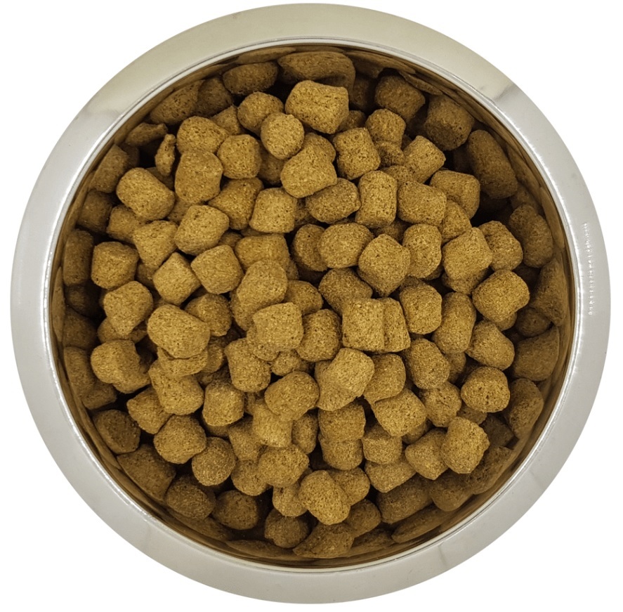 YOURDOG KONINGSPOEDEL AUSGEWACHSEN 12 KG