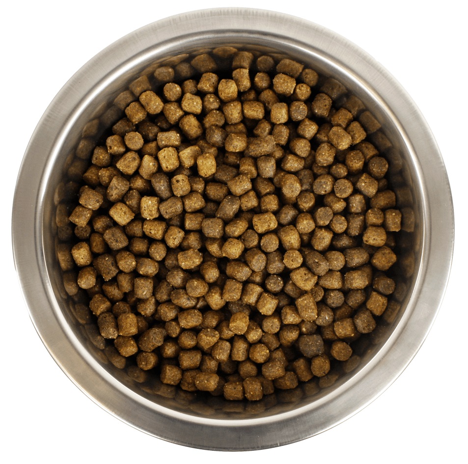 YOURDOG DWERG- ODER TOYPOEDEL WELPE 12 KG