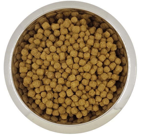 YOURDOG DWERG- ODER TOYPOEDEL AUSGEWACHSEN 12 KG