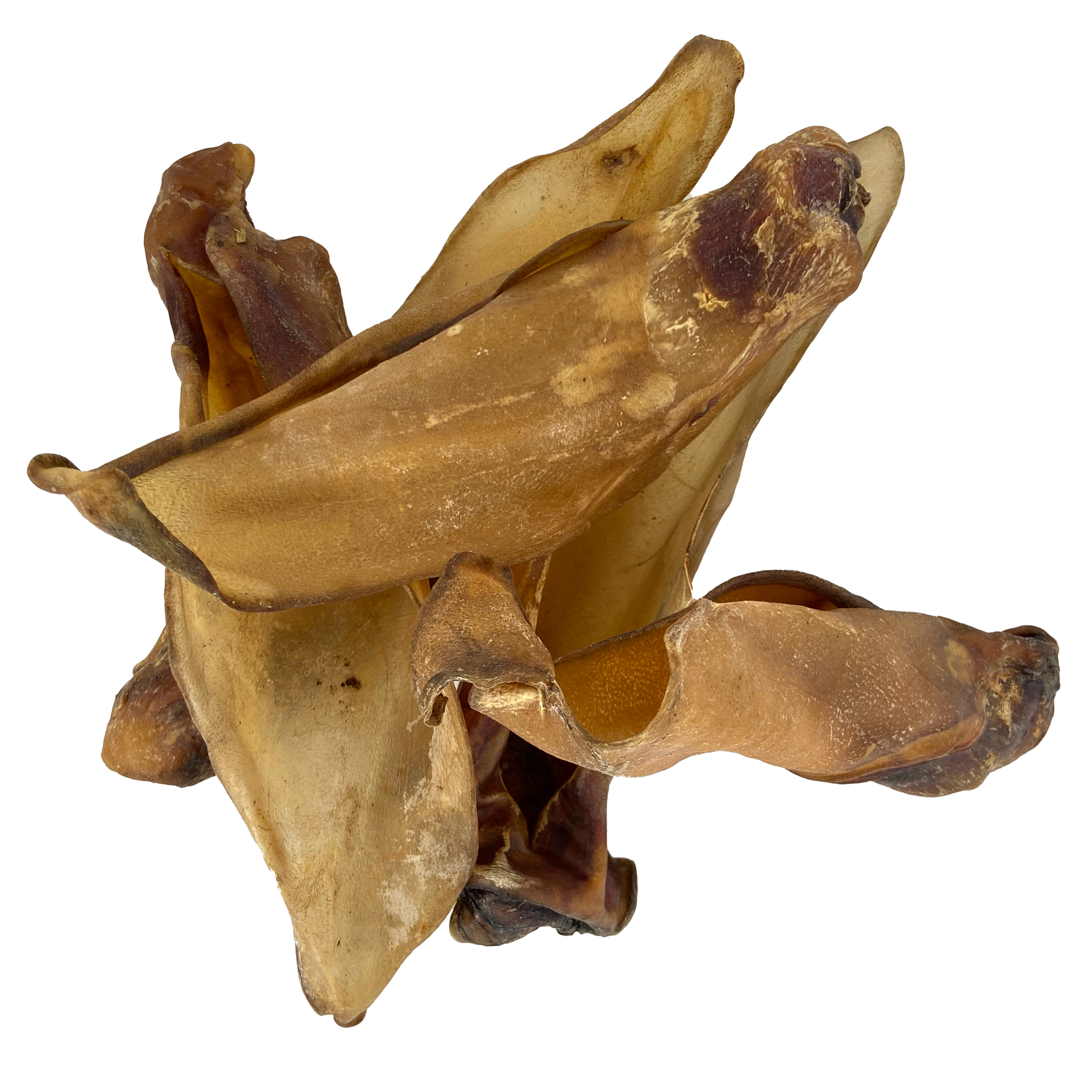 PETSNACK BUFFALO OHREN MIT FLEISCH 10 STK.