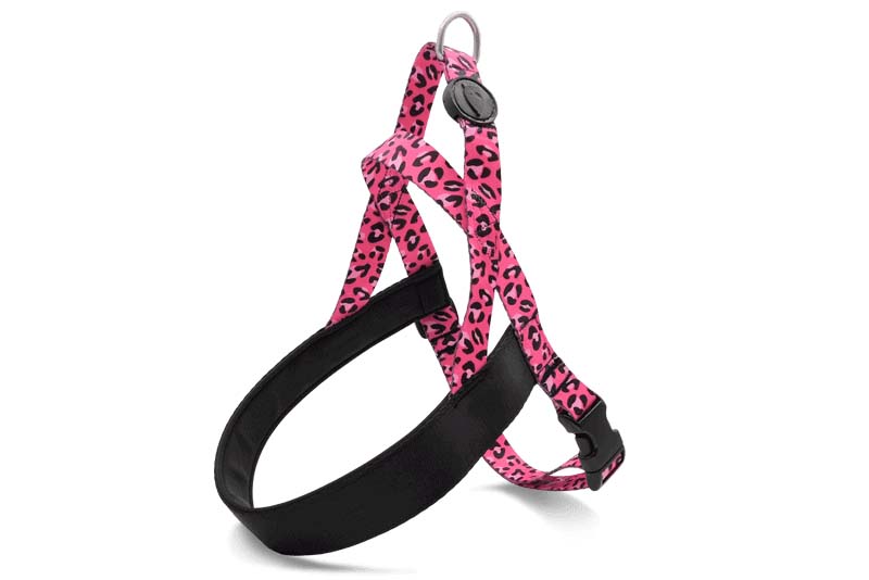 MORSO NORWEGIAN HUNDEGESCHIRR RECYCELT BUBBLE LEO ROSA 54-70X52 CM