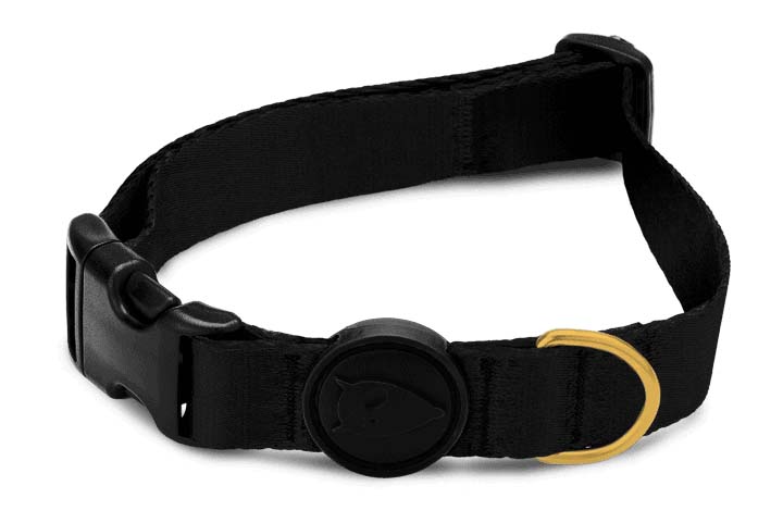 MORSO HALSBAND HUND RECYCELT GOLD CAVIAR GOUD 30-42X1,5 CM