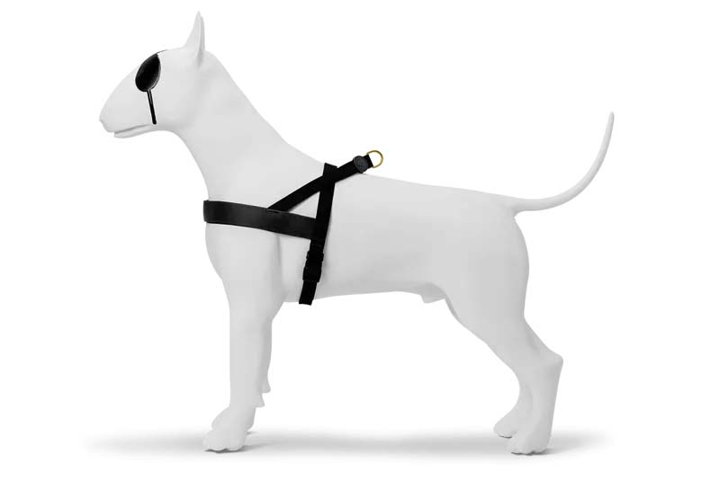 MORSO NORWEGIAN HUNDEGESCHIRR RECYCELT GOLD CAVIAR GOUD 46-60X42 CM