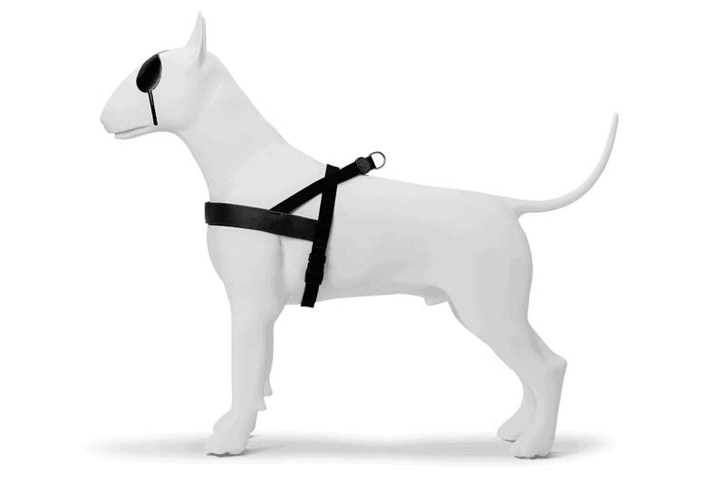 MORSO NORWEGIAN HUNDEGESCHIRR RECYCELT PURENESS SCHWARZ 54-70X52 CM