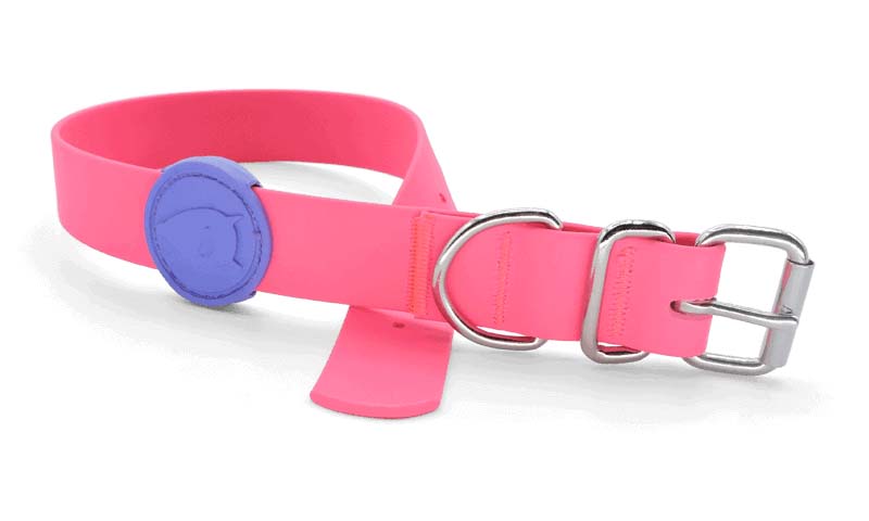 MORSO HALSBAND HUND WATERPROOF RECYCELT PASSION PINK ROSA 38-46X1,5 CM