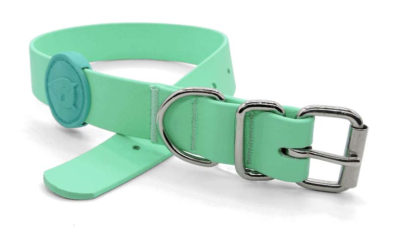 MORSO HALSBAND HUND WATERPROOF RECYCELT CARRIBEAN GREEN GRUEN 47-55X2,5 CM