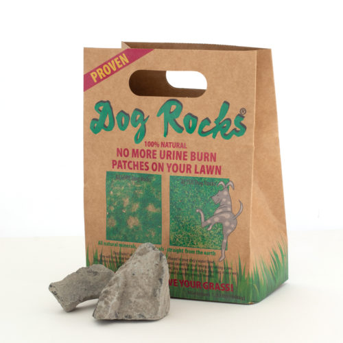 DOG ROCKS 600 G