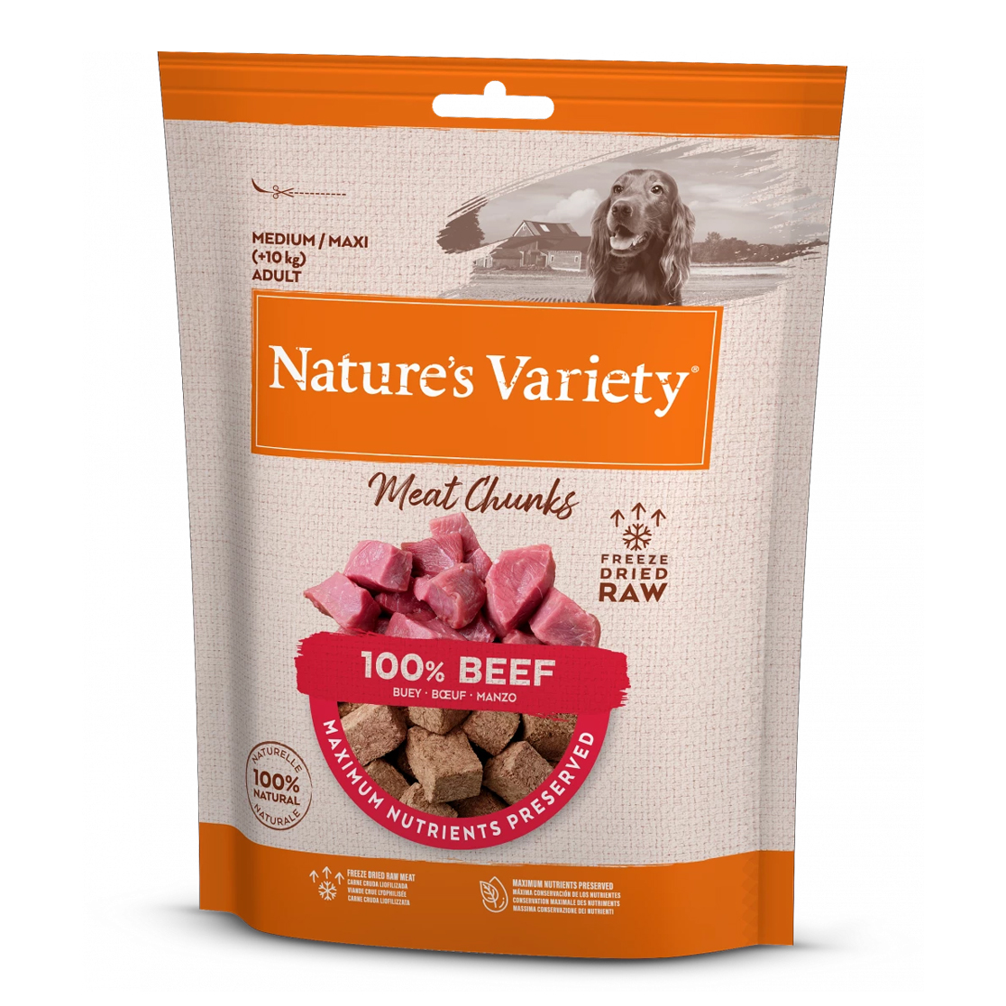 NATURES VARIETY FREEZE DRIED CHUNKS BEEF 50 G