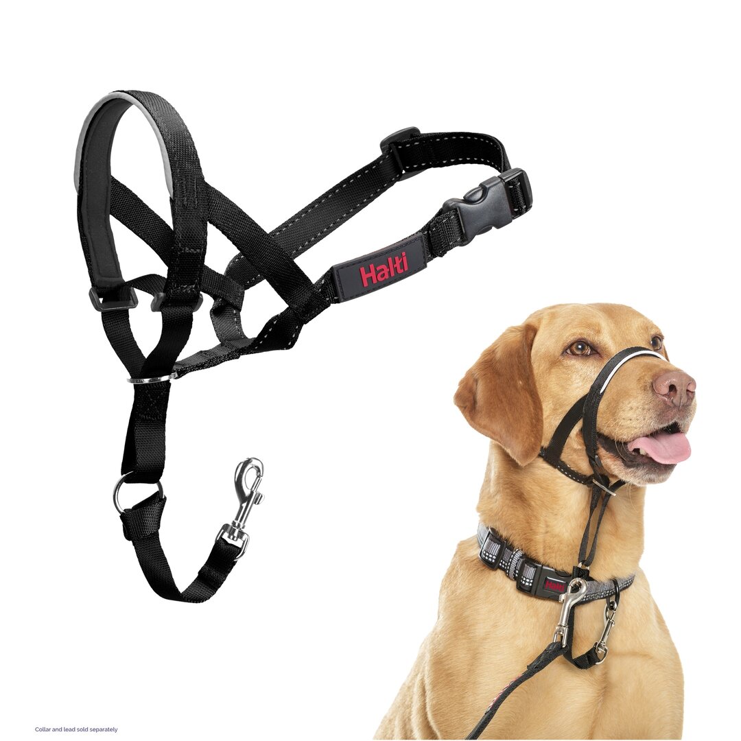 COMPANY ODER ANIMALS HALTI HEADCOLLAR SCHWARZ NR 3