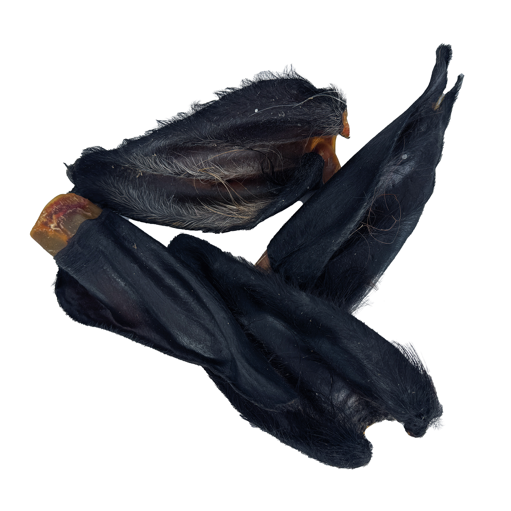 PETSNACK BUFFALO OHREN MIT HAAR 20 STK.