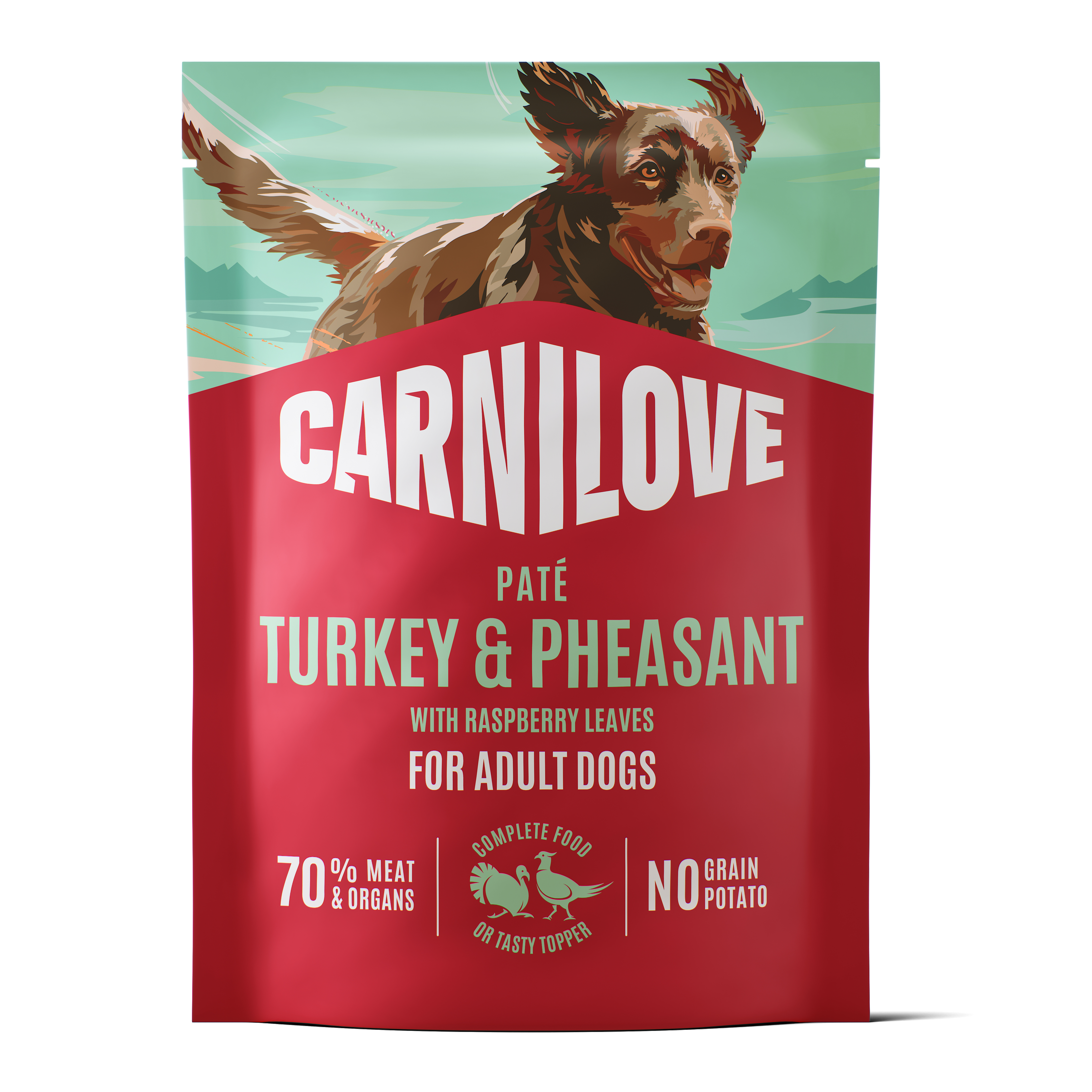 CARNILOVE POUCH TURKEY/PHEASANT/RASPBERRY LEAVES 12X300 G