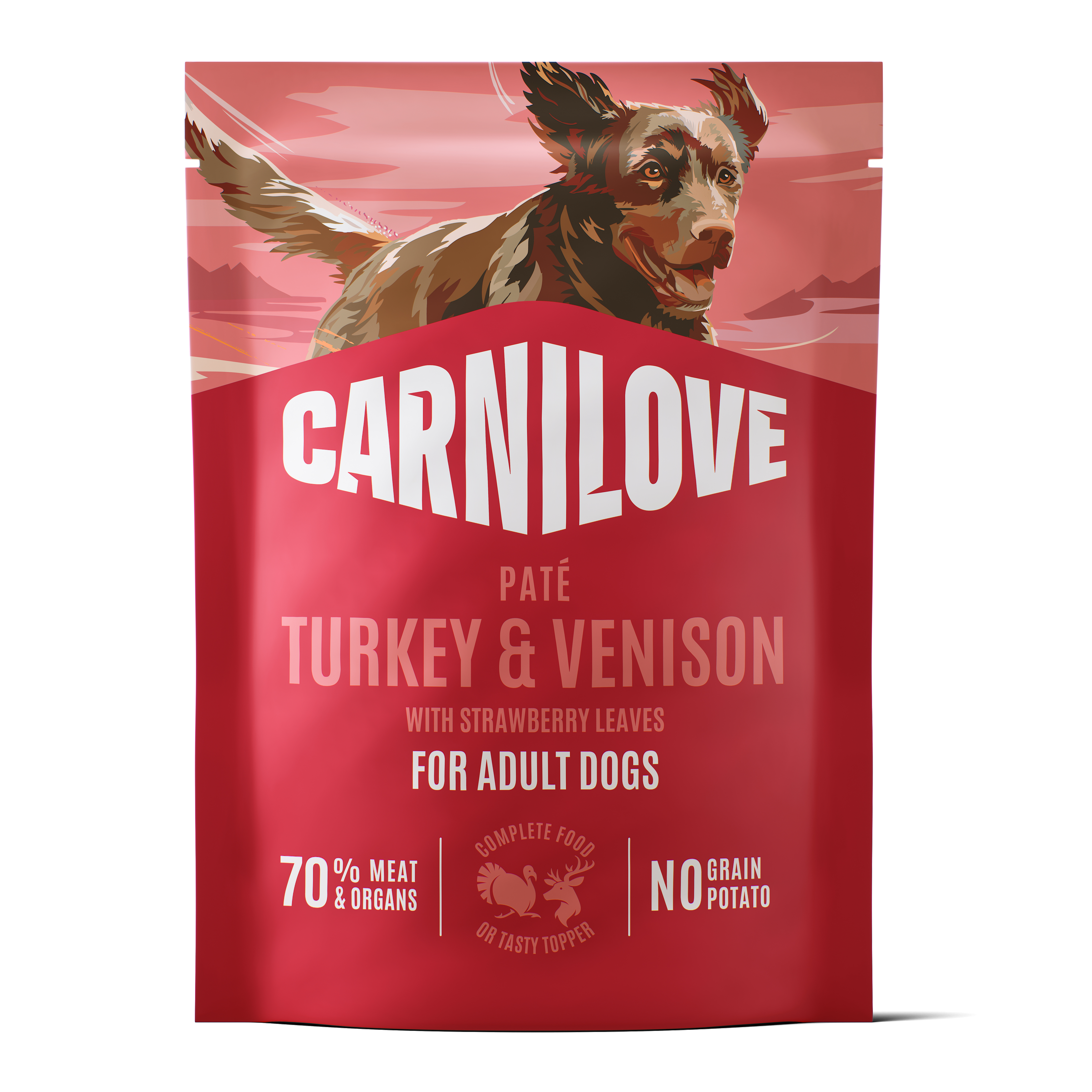 CARNILOVE POUCH TURKEY/VENISON/STRAWBERRY LEAVES 12X300 G