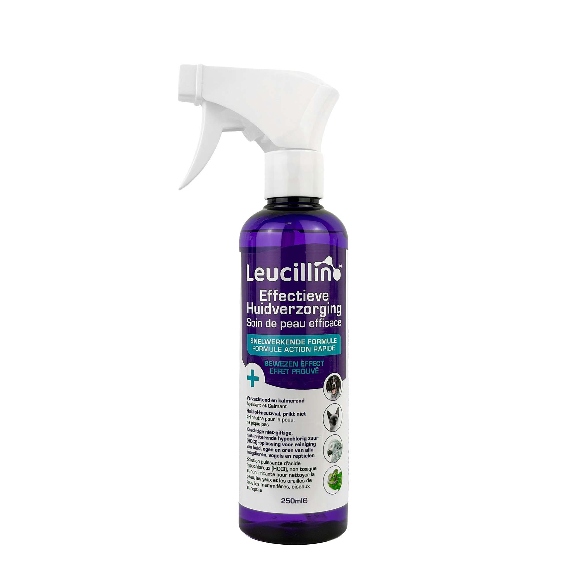 LEUCILLIN SPRAY 250 ML