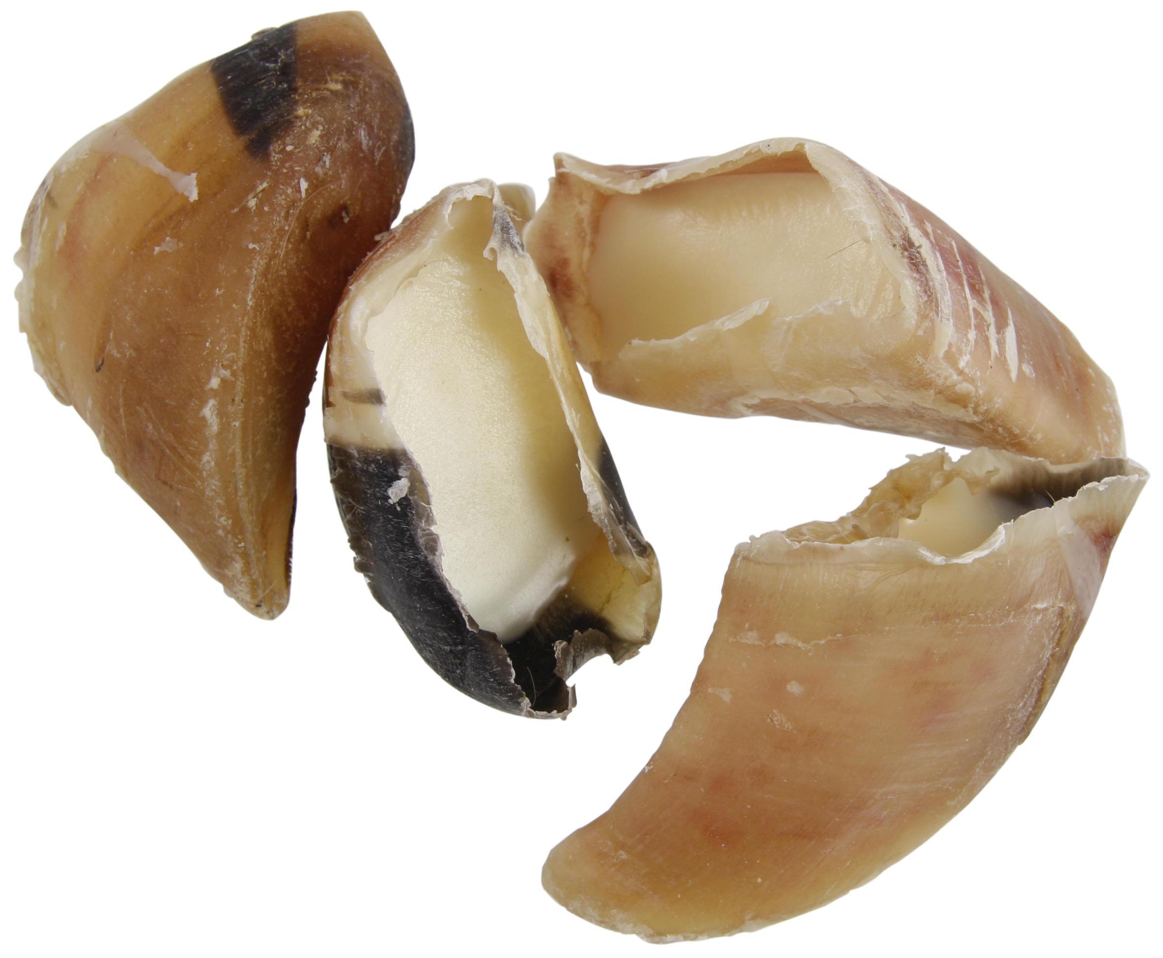 PETSNACK SNACK KALBSHUFE MIT SCHAFFETT GROSS 50 STK.