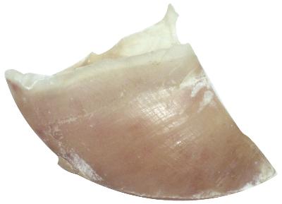 DOGSTAR KALBSHUFE GROSS 100 STK.