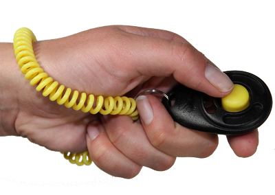 STARMARK CLICKER DE LUXE FUER TRAINING 6X4 CM