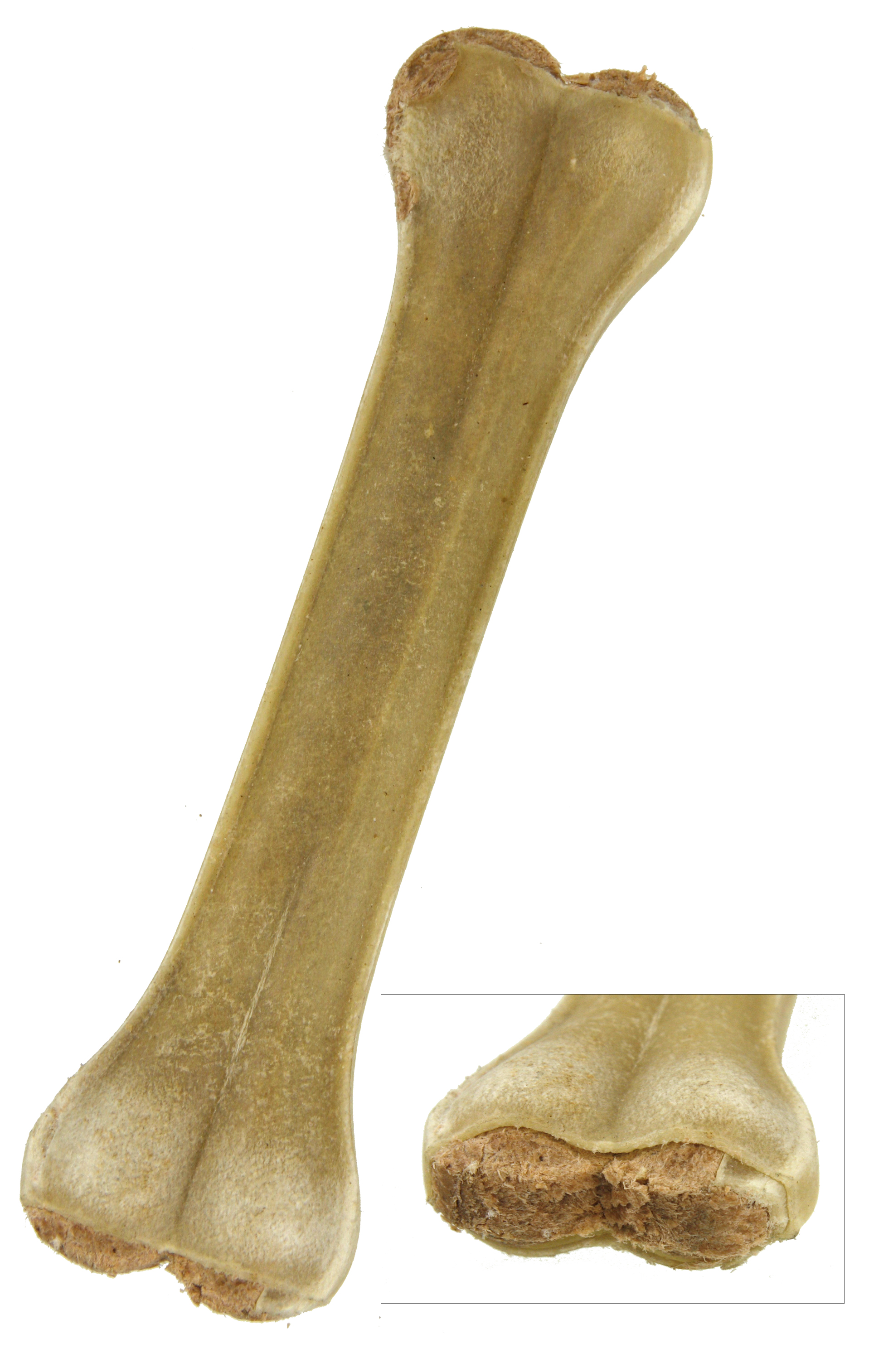 PETSNACK GEPERST KNOCHEN GEVULD MIT RIND 20 CM 5 STK.