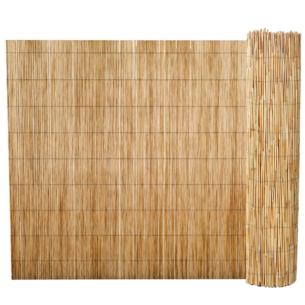 Schilfzaun 500x100 cm