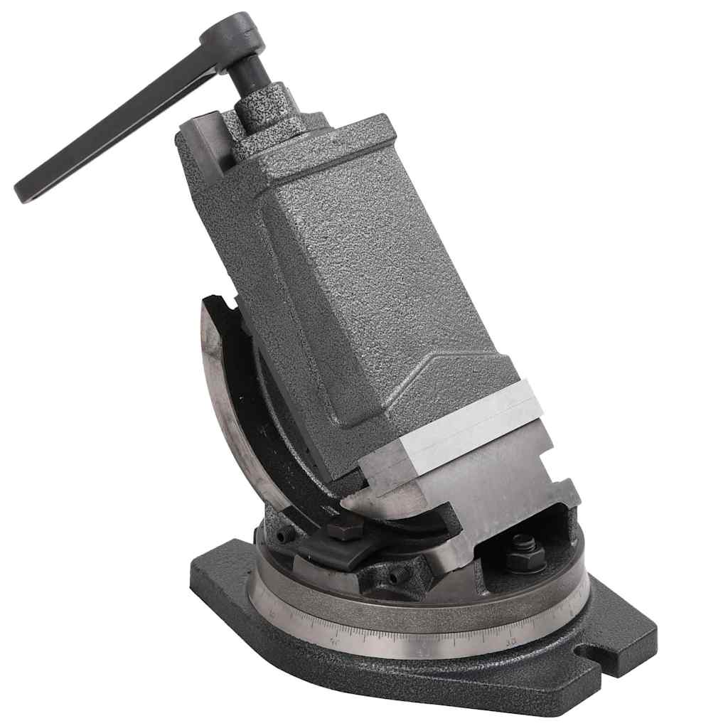 2-Achsen-Schraubstock Kippbar 100 mm