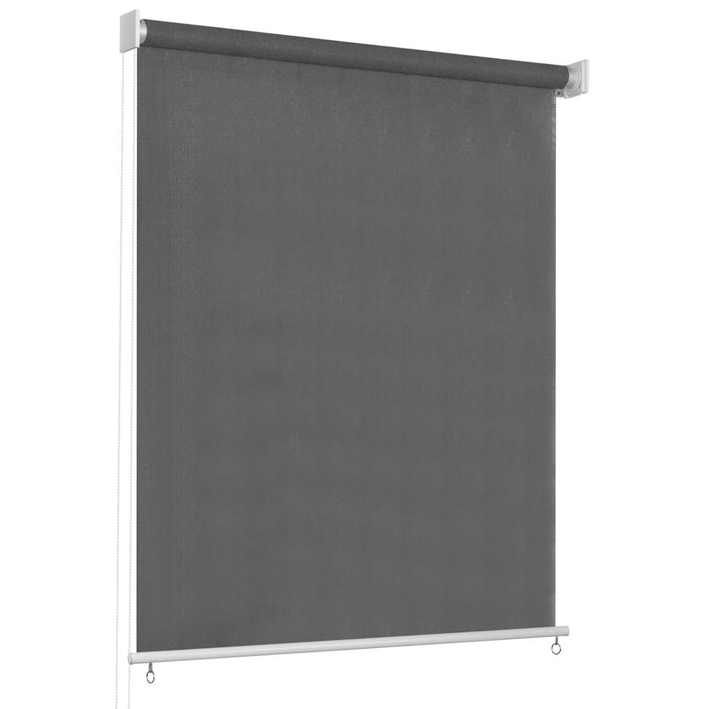 Außenrollo 65 (B) x 230 (H) cm Anthrazit