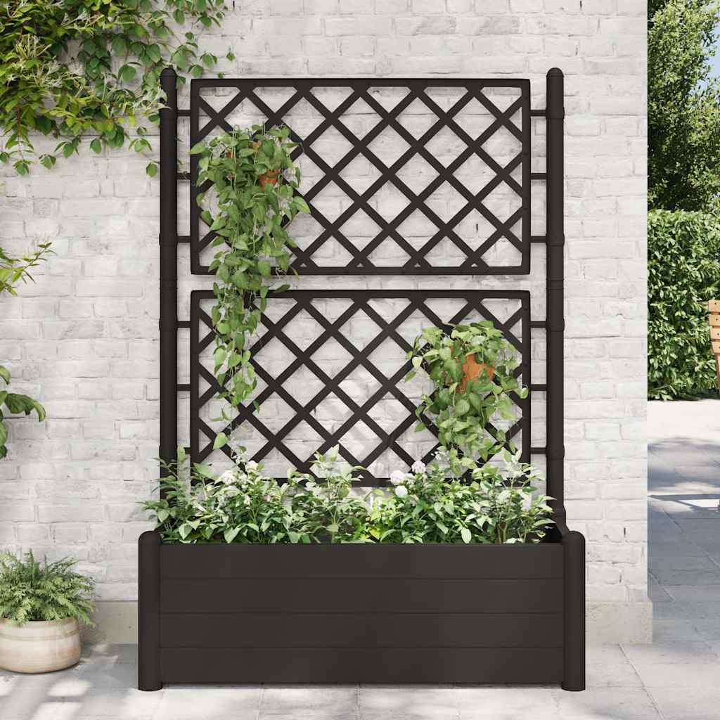 Pflanzkübel mit Spalier 100x43x142 cm PP Anthrazit