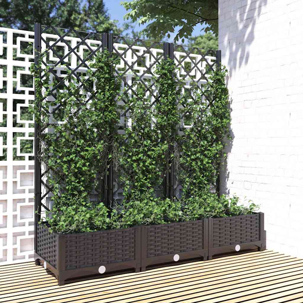 Garten-Pflanzgefäß mit Spalier Schwarz 120 x 40 x 121,5 cm PP