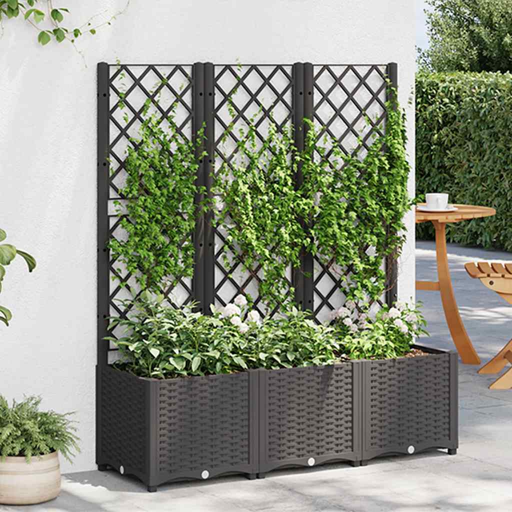 Garten-Pflanzgefäß mit Spalier Schwarz 120 x 40 x 136 cm PP