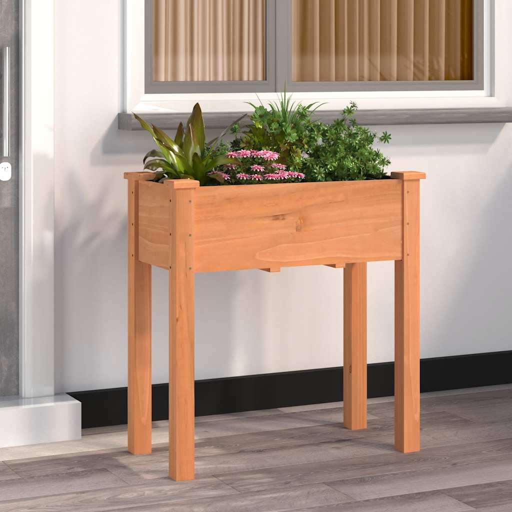 Pflanzkübel mit Einsatz Braun 71x37x76 cm Massivholz Tanne