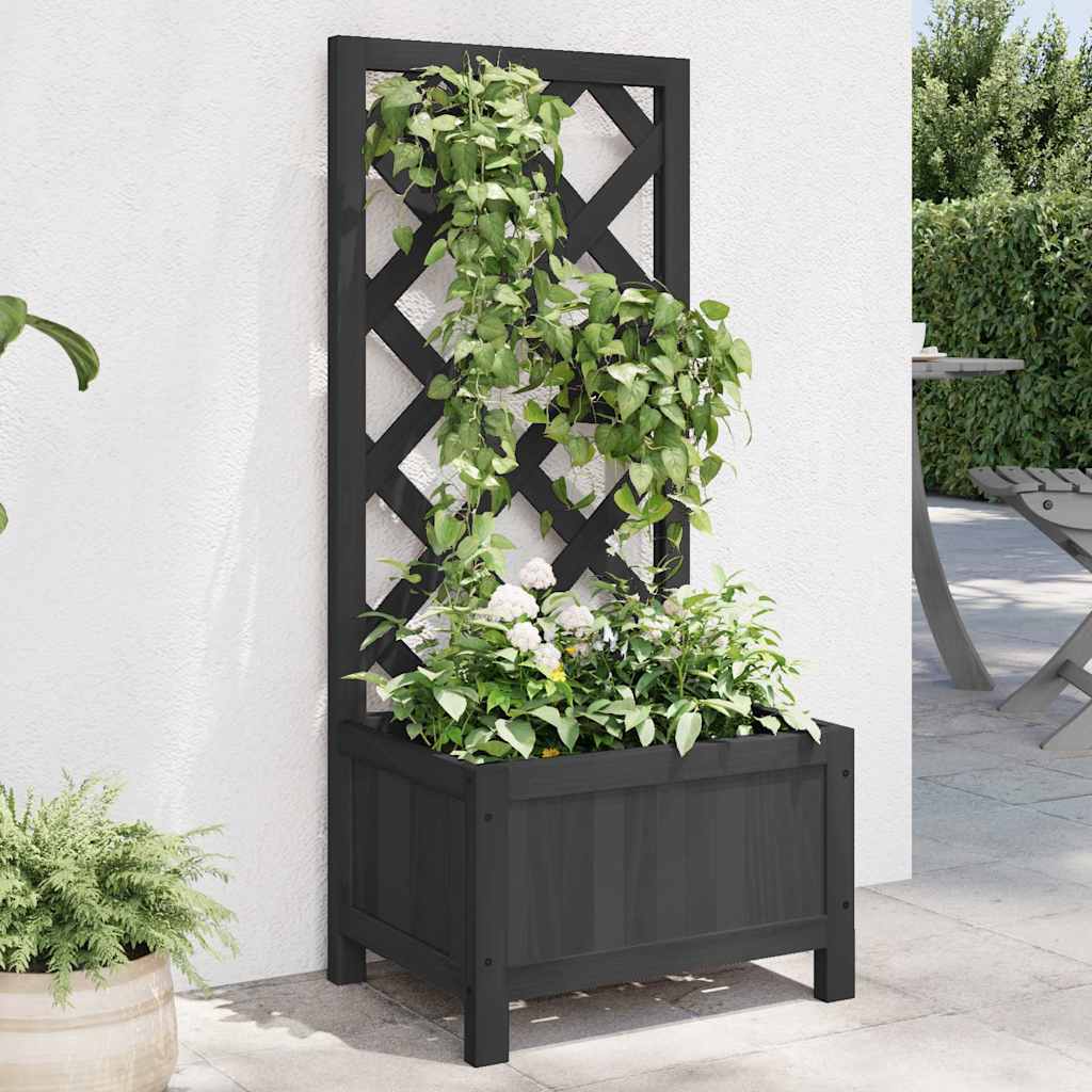 Pflanzkübel mit Spalier Schwarz 40x30x90 cm Massivholz Tanne