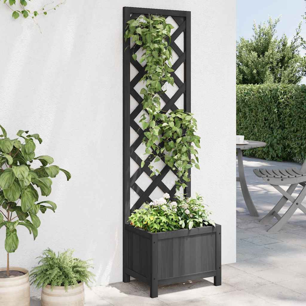Pflanzkübel mit Spalier Schwarz 40x30x135 cm Massivholz Tanne