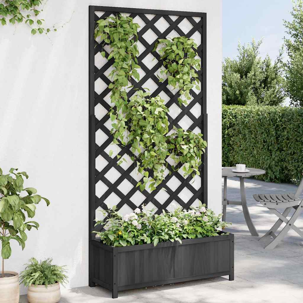 Pflanzkübel mit Spalier Schwarz 90x35x180 cm Massivholz Tanne
