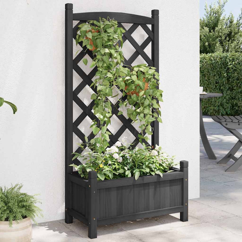 Pflanzkübel mit Spalier Schwarz 55x29,5x110 cm Massivholz Tanne