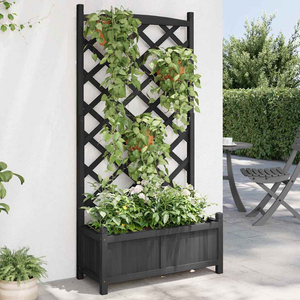 Pflanzkübel mit Spalier Schwarz 75x35x150 cm Massivholz Tanne