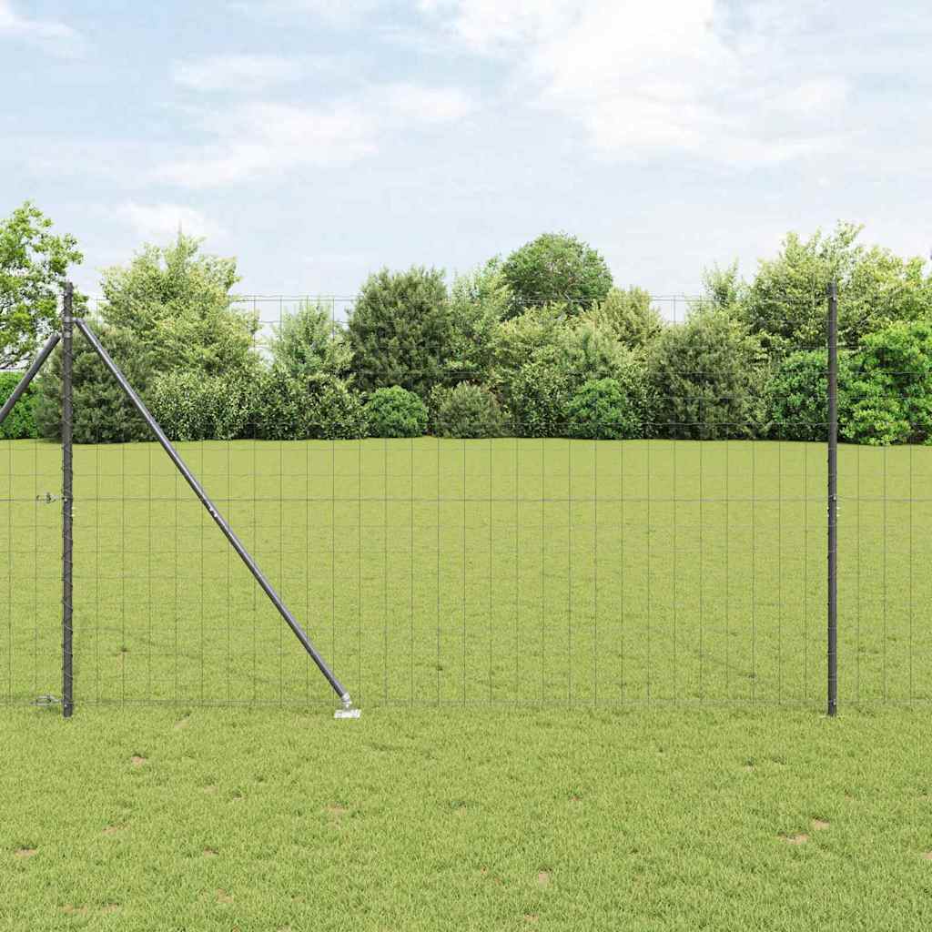 Euro-Zaun mit Stacheln 10 x 1,6 m PVC-beschichteter Stahl Grau
