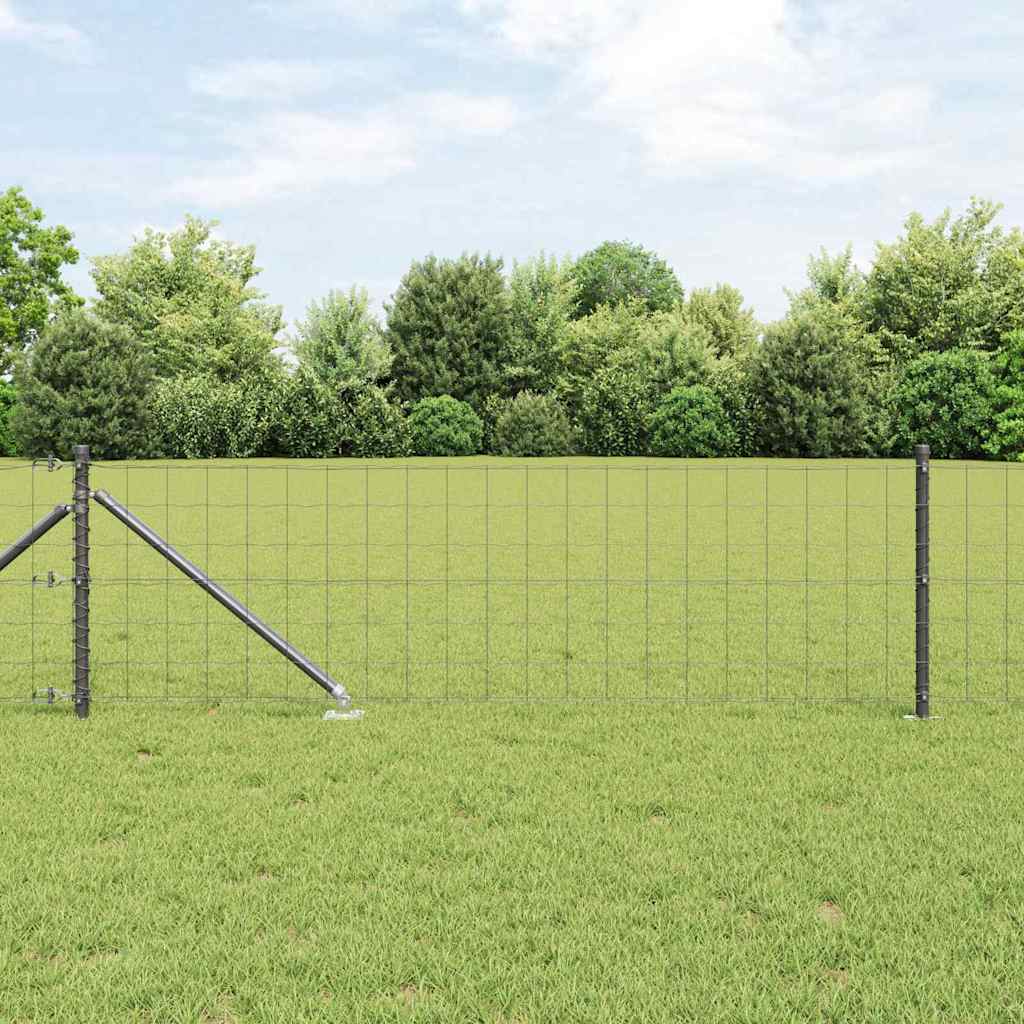 Euro-Zaun mit Stacheln 25 x 0,8 m PVC-beschichteter Stahl Grau