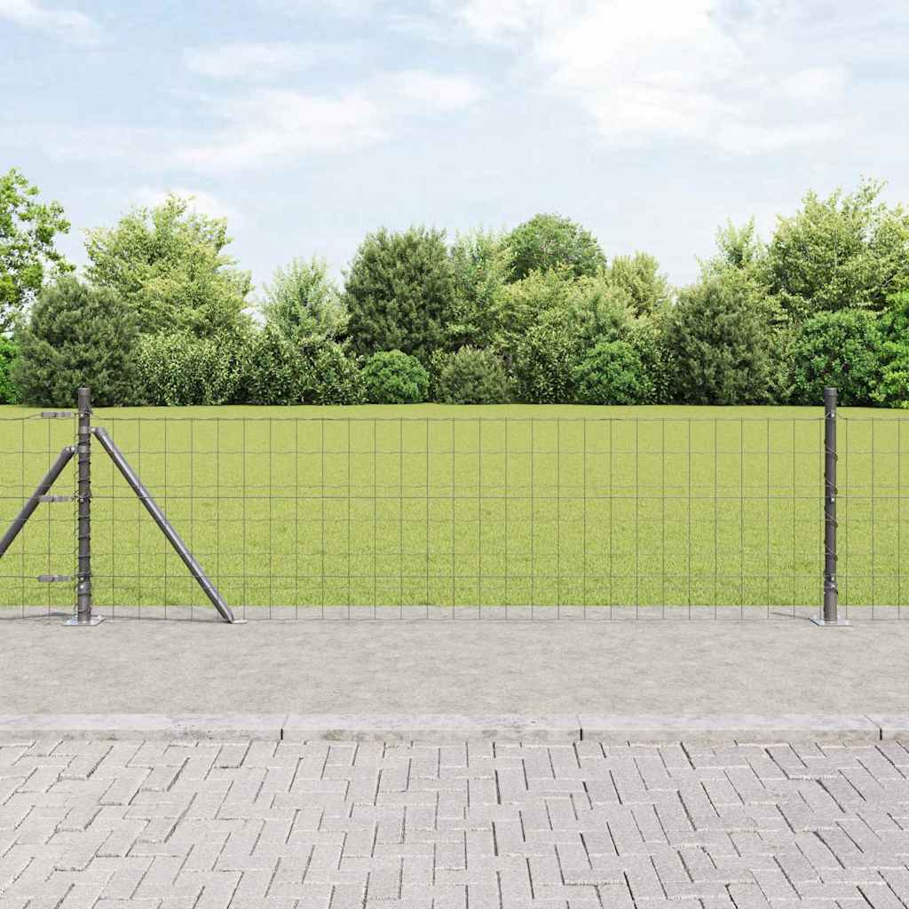 Euro-Zaun mit Betonsockel 10 x 0,6 m PVC-beschichteter Stahl