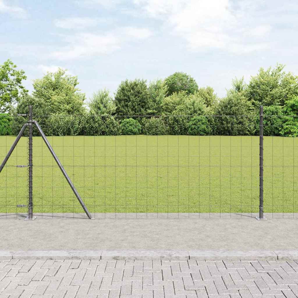 Euro-Zaun mit Betonsockel 10 x 0,8 m PVC-beschichteter Stahl