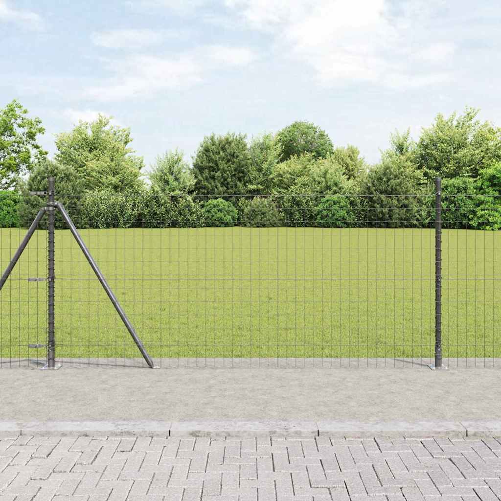 Euro-Zaun mit Betonsockel 25 x 0,8 m PVC-beschichteter Stahl