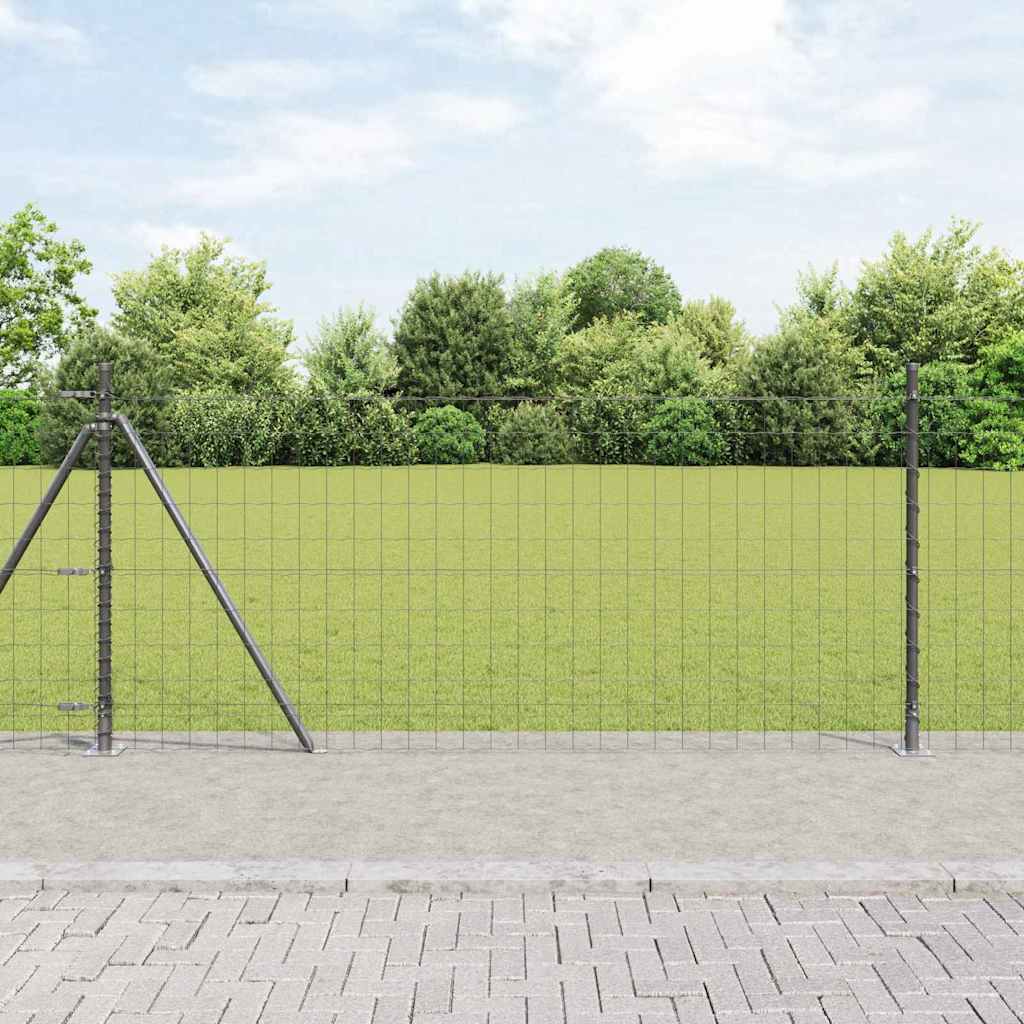 Euro-Zaun mit Betonsockel 25 x 1 m PVC-beschichteter Stahl Grau